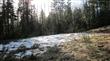 6123 139th Ct SW, Rochester, WA 98579