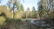 6123 139th Ct SW, Rochester, WA 98579