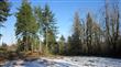 6123 139th Ct SW, Rochester, WA 98579