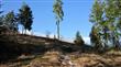 6123 139th Ct SW, Rochester, WA 98579
