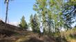 6123 139th Ct SW, Rochester, WA 98579