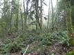 268 SE Issaquah-Fall City Rd, Issaquah, WA 98029