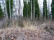 1086 Cedar Ave, Marysville, WA 98270