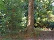11 Lookout Mountain Lane, Bellingham, WA 98229