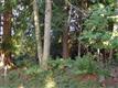 9 Lookout Mountain Lane, Bellingham, WA 98229