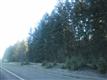11  35 St , Marysville, WA
