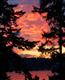 2211  Blarney Place SE, Bellevue, WA