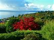 17777  14th Ave NW, Shoreline, WA