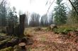 25707 NE 47th Place , Redmond, WA