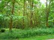 6976  Baker Circle , Glacier, WA