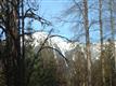 16012  Shuksan Rim Drive , Glacier, WA