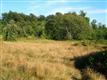 0  Harvey Rd , Blaine, WA