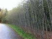 0  Wheatstone Wy , Bellingham, WA