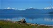11790  Anderson Landing NW, Silverdale, WA