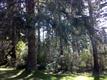 180 E Lakeland Wy , Allyn, WA