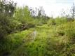 1725  161st Ave KP, Lakebay, WA
