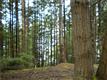 317  Herron Lane KP, Lakebay, WA