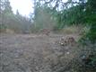 2007  191st Ave Ct Ks , Lakebay, WA