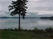 2207  141Ave. , Lakebay, WA