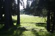 3724 Wollochet Dr NW, Gig Harbor, WA 98335