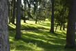 3724 Wollochet Dr NW, Gig Harbor, WA 98335