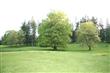 3724 Wollochet Dr NW, Gig Harbor, WA 98335