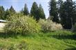 3724 Wollochet Dr NW, Gig Harbor, WA 98335