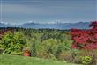 6907 NW Lois Drive , Silverdale, WA
