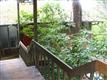 17746  22nd Ave NE, Shoreline, WA