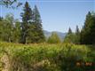 0  Nhn Mountain View Road , Mount Vernon, WA
