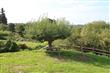 45  105th Ave NE, Kirkland, WA