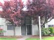921  130th St SW, Everett, WA