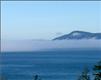 2417  Washington Ct , Anacortes, WA