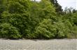 9716  128th St NW, Gig Harbor, WA