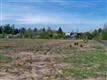 11320  28th Ave E, Tacoma, WA