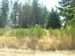 0  B St E, Spanaway, WA