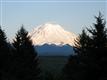 12116  136th Ave E, Puyallup, WA