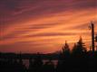 808  1st St , Kirkland, WA