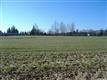Sedro Woolley