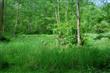 7125 Kickerville Rd, Ferndale, WA 98248