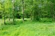 7125 Kickerville Rd, Ferndale, WA 98248