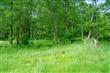 7125 Kickerville Rd, Ferndale, WA 98248