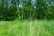 7125 Kickerville Rd, Ferndale, WA 98248