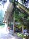 14622  209th Ave SE, Renton, WA