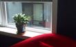 2721 1st Ave #201, Seattle, WA 98121