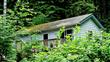 45118 Tolo Trail, Concrete, WA 98237
