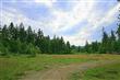 46455 Baker Loop Rd, Concrete, WA 98237