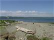 Vashon
