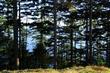 834 Briar Rd, Bellingham, WA 98225
