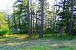 834 Briar Rd, Bellingham, WA 98225